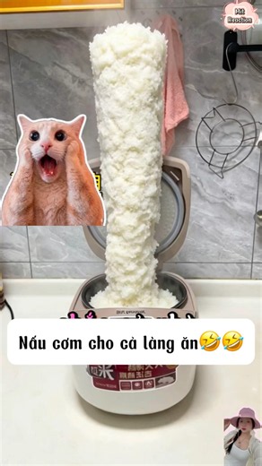 Nấu cơm cho cả làng ăn à🤣🤣
