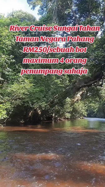 TAMAN NEGARA PAHANG 3 DAYS 2 NIGHTS RM335.00 per person ITINERARY. Day One (1) 02.00 pm : Arrive at Taman Negara / Check In 07.30 pm : Dinner 08.30 pm : Night Jungle Walk 10.00 pm : Own activity Day Two (2) 08.00 am : Breakfast 09.00 am : Jungle trekking to Bukit Teresek and Canopy Walkway. 01.00 pm : Lunch. 02.30 pm : Boat ride to Orang Asli Village and Rapid Shooting 7.30 pm : Dinner 9.00 pm : own activity Day Three (3) 08.00 am : Breakfast 12.00 pm : Check out INCLUSIVE OF: * Park Permit * Ca