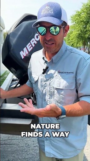 Keep Your Pontoon Boat Jungle Free 🌳: Bridge Marina Boat Maintenance Tip #shorts