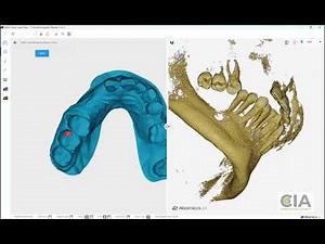 Atomica basics3-Model superimposition