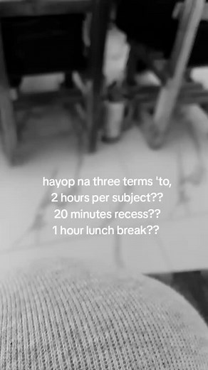 Why Three-Term School Schedules with 2 Hours per Subject Spark Debate