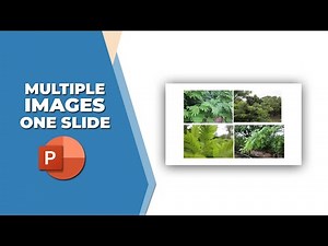 How to put multiple images in one slide in PowerPoint