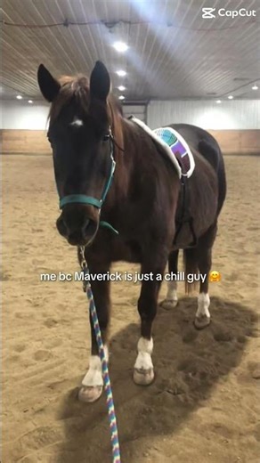 We love Maverick guys😌