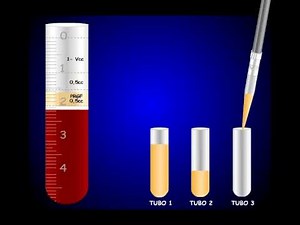 PRGF Animation. Preparation Phase