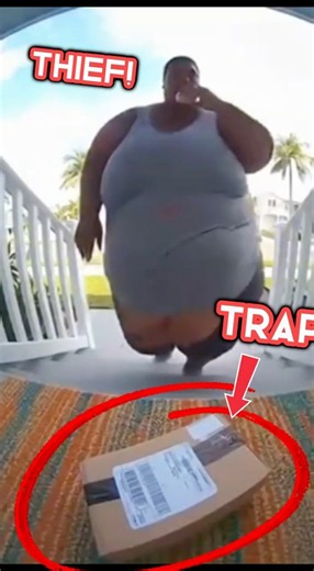 Obese Porch Pirate Gets What He Deserves! Tries Stealing from Me.