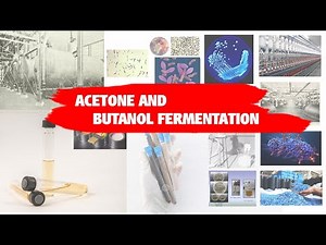 ACETONE AND BUTANOL FERMENTATION