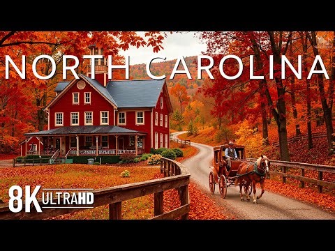 North Carolina in Autumn 8K UHD 🍁 Blue Ridge Mountains, Fiery Leaves & Peaceful Forest Roads 🍂