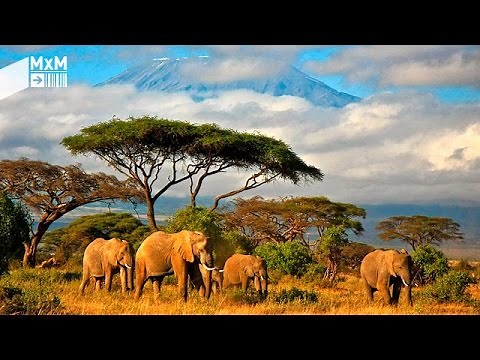 Madrileños por el mundo: Tanzania, un país que anima a la aventura