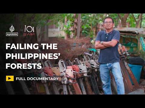 Vanishing forests: Why is the Philippines failing at reforestation? | 101 East Documentary
