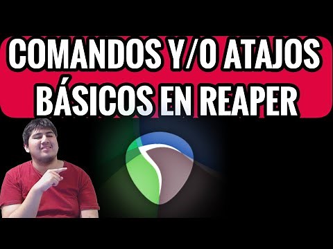 COMANDOS Y ATAJOS BÁSICOS EN REAPER