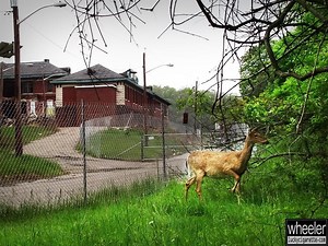 Overbrook Asylum Hospital Demolition: N.J. Urban Explorer Shares Video, Photos