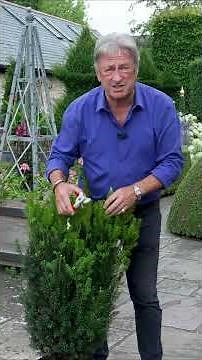 Start Your Topiary Journey Today! 🌳