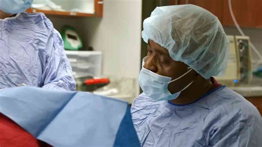 How removing a bulldog’s tail became a bleeding, high-stakes procedure