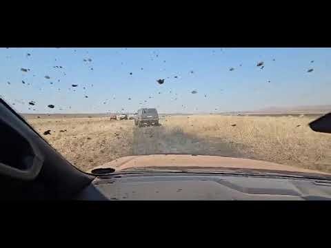 POV: Ford Ranger vs. Deep Mud! 💥 Gets Stuck Next to a Stranded Raptor!