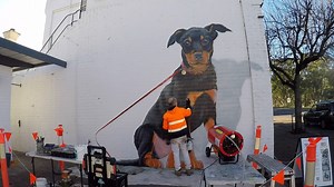 64K views · 1.7K reactions | Three days squeezed into one minute. For those curious, here's a process time-lapse of my recent Casterton Kelpie Puppy Mural i completed for the legends at The Glenelg Inn Casterton. This mural is on my public art trail map (via my website) and is located at 2 Henty St, Casterton. It celebrates the Australian Kelpie in an interactive public art piece in the town that is the original birthplace of the very first Kelpie. | Jimmi Buscombe - Artist | Facebook