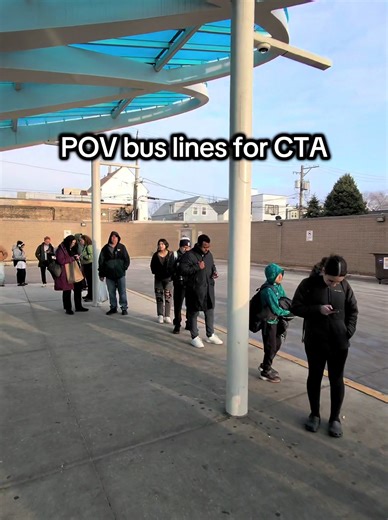 Exploring Chicago's CTA Bus Lines: A Commuter's POV