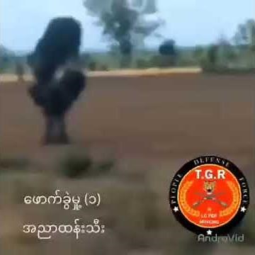 မန္တလေး-မုံရွာ လမ်းမကြီးအတိုင်း မောင်းနှင်လာသည့် စစ်ကောင်စီကား ၄ စီး တိုက်ခိုက်ခံရ
