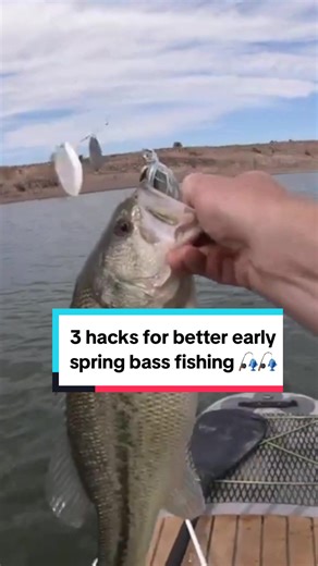 Cold Early Spring Bass Fishing: 3 Tips for Sluggish Bass and Targeting Warm Water Bluegill #bassfishing #bigbass #coldwater #springtime