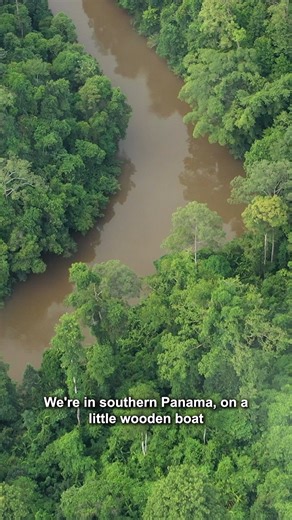 azcentral on Instagram: "A river that cuts through the Darien jungle in Panama is no longer filled with canoes packed with U.S.-bound migrants. Republic Senior Reporter Daniel Gonzalez explains more at the link in our bio. 🔗"