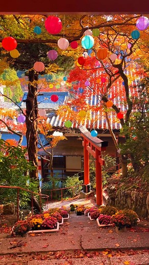 Japan Walker | Yanagitanikannon Yokoku-ji (Kyoto) / 柳谷観音楊谷寺 It was a wonderful temple with a large precinct and beautiful autumn leaves🥰🍁 Filmed in... | Instagram