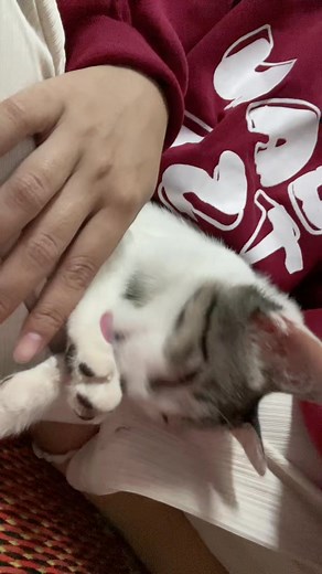 2K views · 22 reactions | Meme bị lôi ra làm meme 嵐嵐 | Candy Bảo Nhi | Facebook