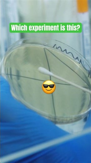 🧫 What Happens When You Streak Bacteria on an Agar Plate?