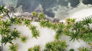 Deserted Island with palm trees. deserted island in the sea. stranded island in the ocean