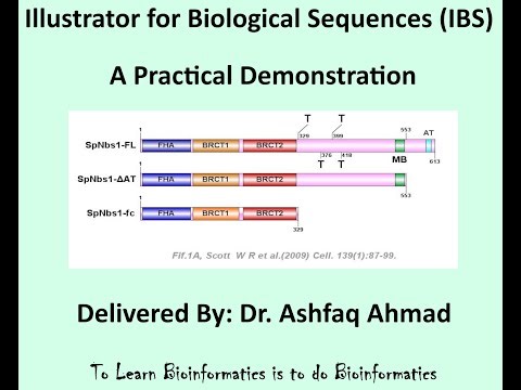 Illustrator for Biological Sequences (IBS) - A practical demonstration - English