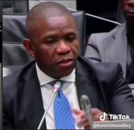 General Nhlanhla Mkhwanazi accountability: Pinocchio Effect & audit trail