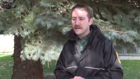 Montana hunters can thank private landowners through new FWP portal