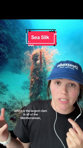 Sea Silk: Rare Golden Fabric from Noble Pen Shells