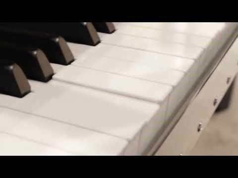 Blüthner PH design vleugel inclusief QRS zelfspelend systeem