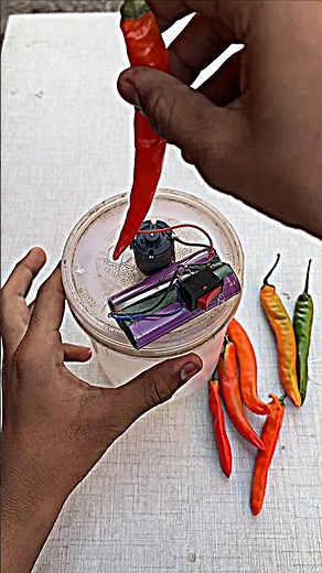 Powerful Mini Chilli Cutter Machine 🌶️ DIY | Easy Home Project #DIY #ChilliCutter #HomemadeMachine