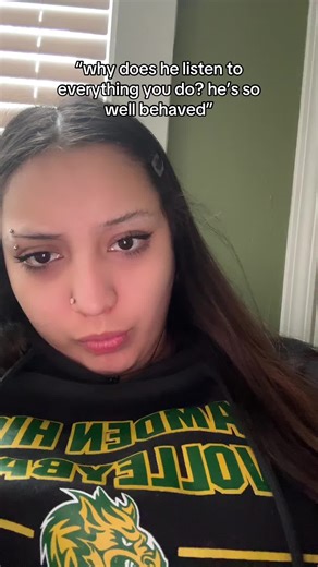 Dogs Watching TV for 40 Minutes Straight