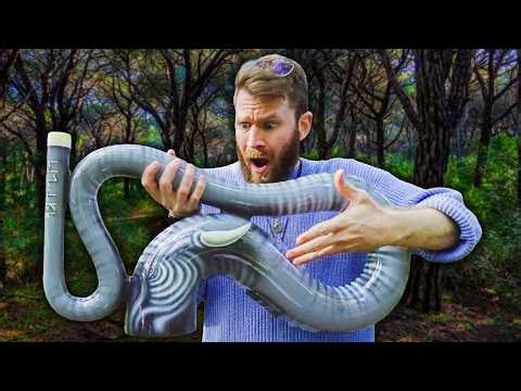 This Didgeridoo Sound Unleashes Ancient Elephant Power 🐘🔥