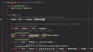 掌握 Go 编程基础