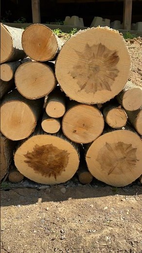 Building a log retaining wall. #homestead #garden #logs