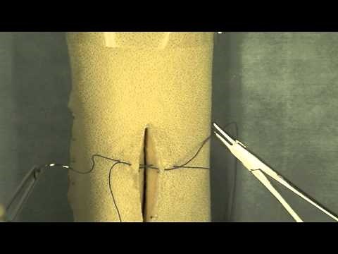 Far-Near-Near-Far Suture Pattern