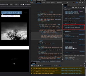 I've used this code to change my website title and it's working on my computer but not showing in mobile