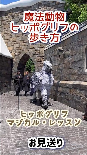 【USJ】ヒッポグリフの堂々とした歩き方が凛々しいっっ！ヒッポグリフ・マジカル・レッスン#usj #ヒッポグリフ