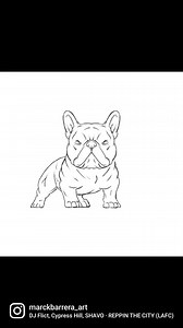 How to draw a frenchie | MBA Studio