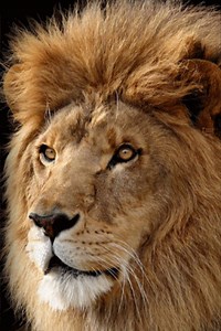 Create A Bootable Usb Drive Mac Os X Leopard