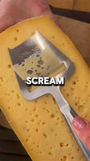 Confronting a Bully: The Unexpected Turn of Events