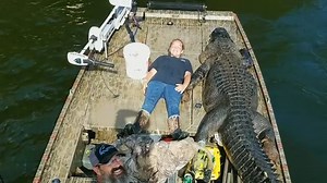 Hunter catches 700-pound alligator in Georgia
