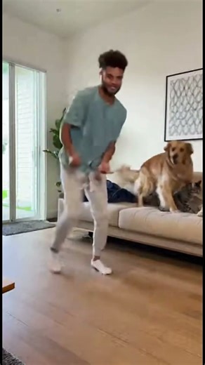 Dog Trying to Dance Is Cute… Cat’s Reaction Is Funnier