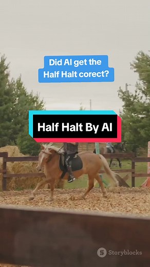 Mastering the Half Halt: A Guide for Riders