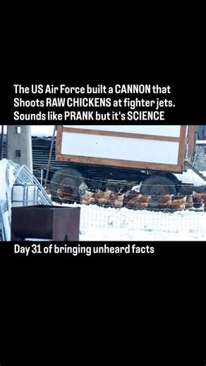 Better Humans Lab on Instagram: "Why does the US Military fire frozen chickens at their own $100 million jets? It’s called the "Chicken Gun." To test if a plane's windshield can survive a bird strike in mid-air, engineers built a compressed-air cannon that launches a 4-pound chicken at 400 mph. If the windshield shatters, the plane fails. They literally engineered a poultry weapon to save pilots' lives."