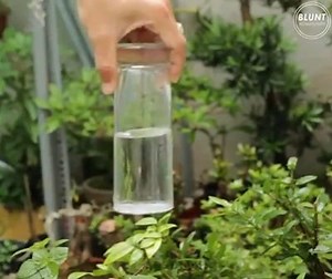 10 COOL science experiments you can try at home | Being Scientist