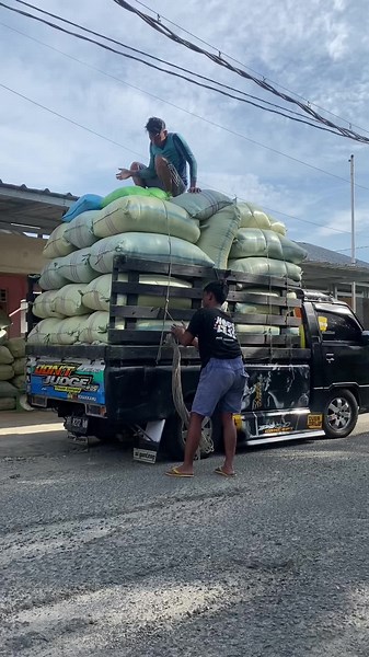 _java.ags (@suga_java18)’s videos with suara asli - ʟɪʀɪᴋ ᴍᴜꜱɪᴋ ᴊᴏᴡᴏɴᴇꜱɪᴀ - cuanyanisa