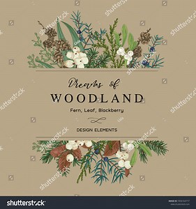 Christmas Frame Winter Forest Plants Vector Stock Vector (Royalty Free) 1856164777 | Shutterstock